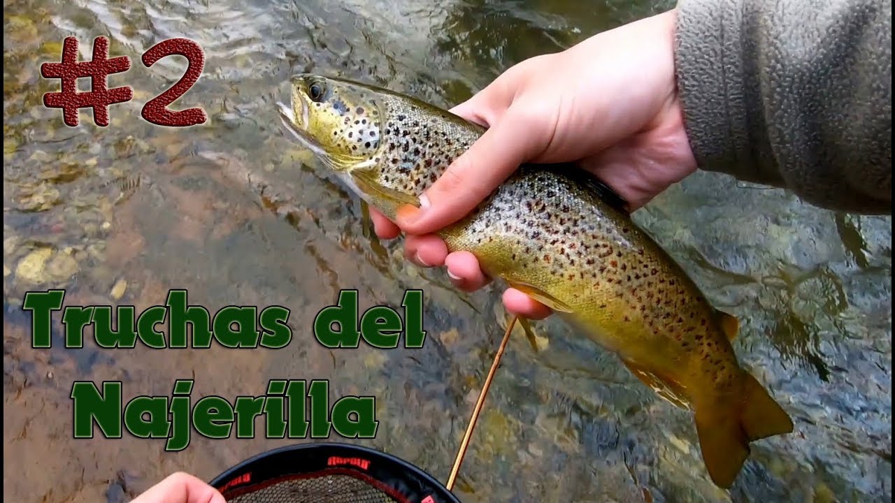 Una buena tarde de pesca en el Najerilla || #2