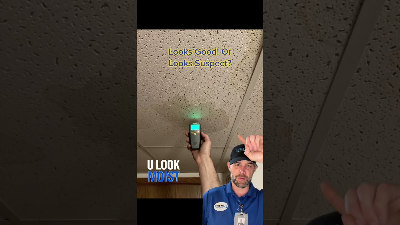 15sec Looks Good! Or Looks Suspect? Ceiling Stains #homeinspector #propertyinspections #hometips