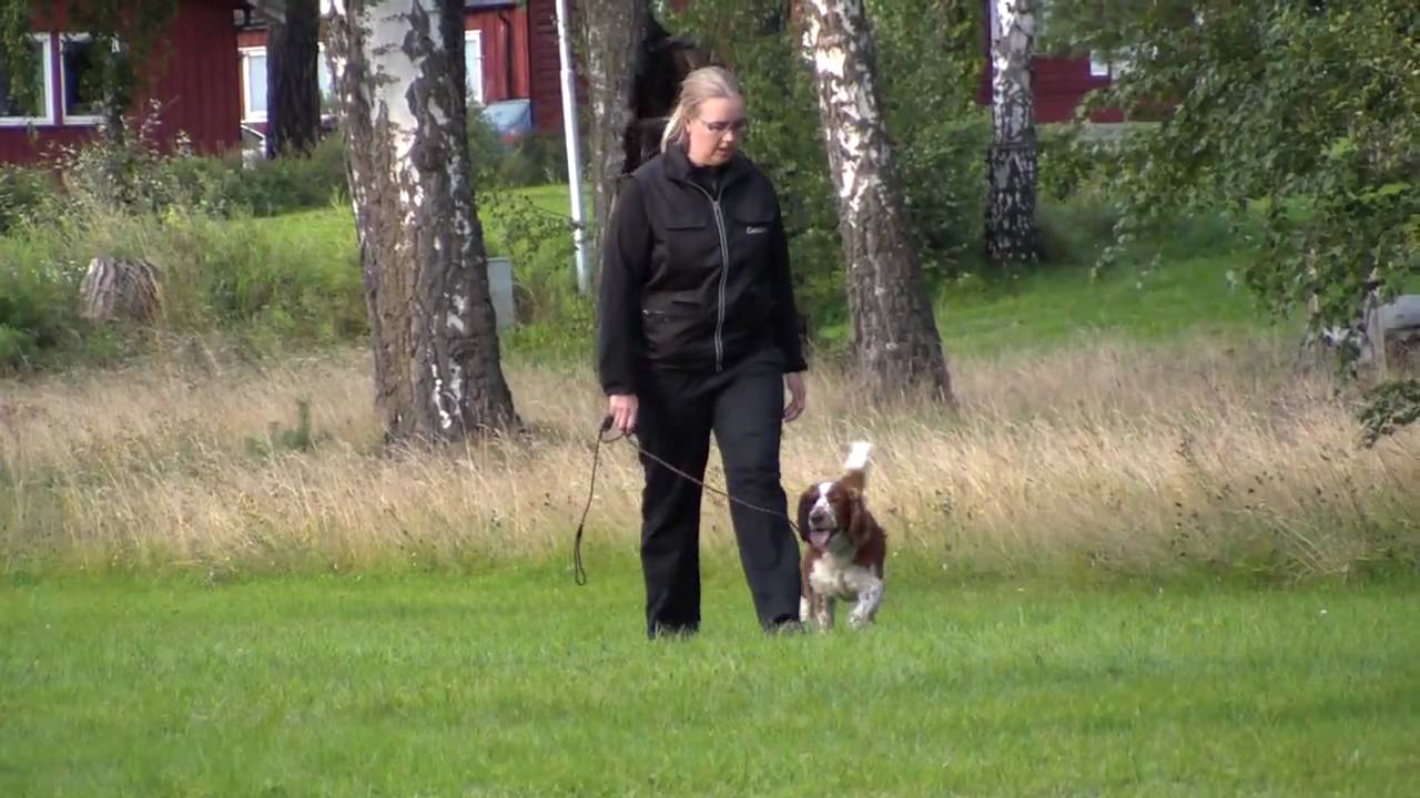 Linef&oslash;ring