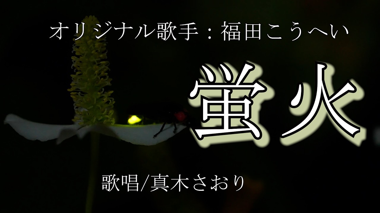 蛍火（福田こうへいさん）唄/真木さおり
