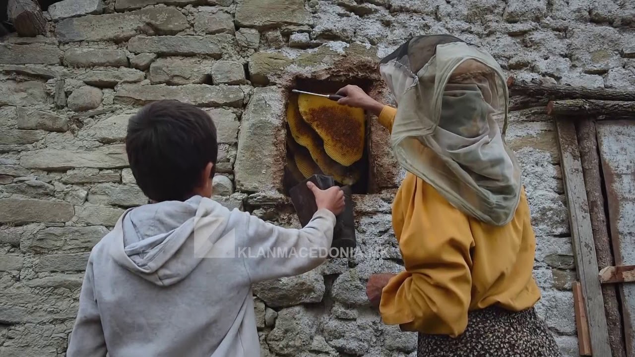 &ldquo;HONEYLAND&rdquo; ME DY NOMINIME P&Euml;R OSKAR