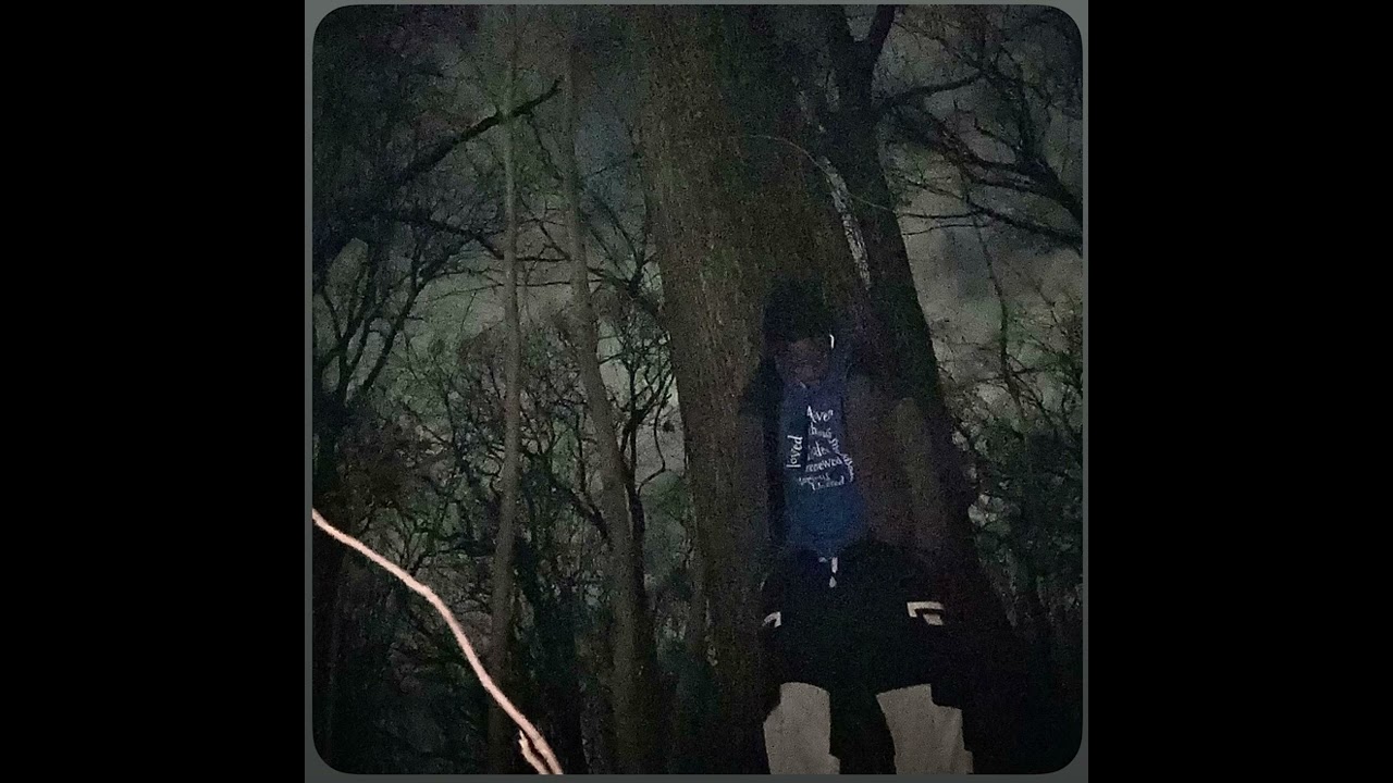 itll_never_be_the_ same (Unofficial Audio)