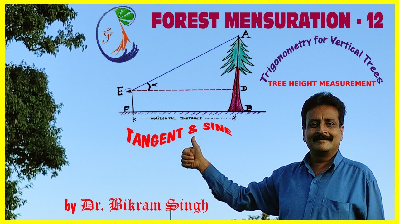 Forest Mensuration - 12 , Trigonometry for tree height measurement on level ground. by Bikram Singh