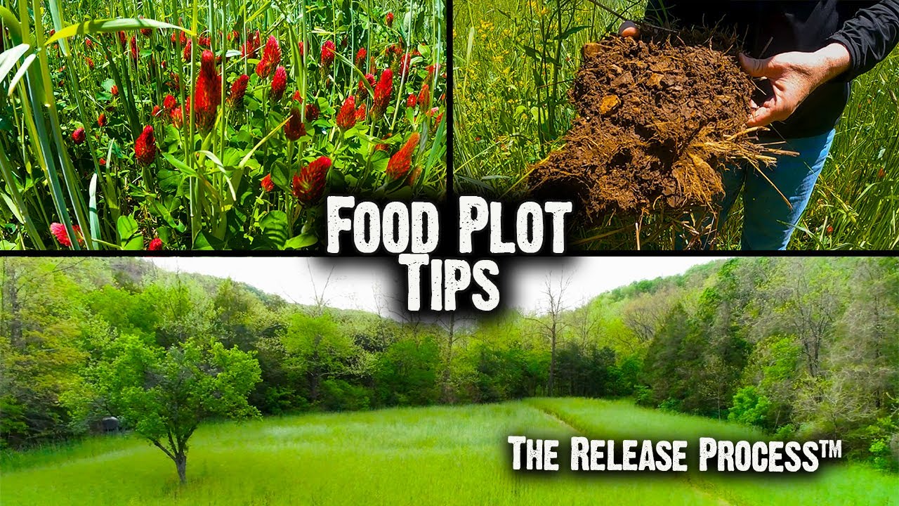 It's Time to Plant!  Food Plot Tips, Part 1 (628)