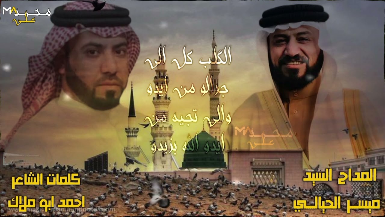 المداح السيد ميسر الحيالي.الگلب كل الي جرالو من ايدو.اكثر فيديو انطلب