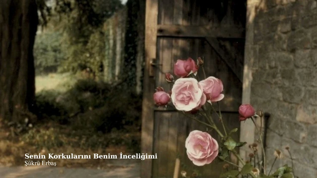 Senin Korkularını Benim İnceliğimi - Şükrü Erbaş