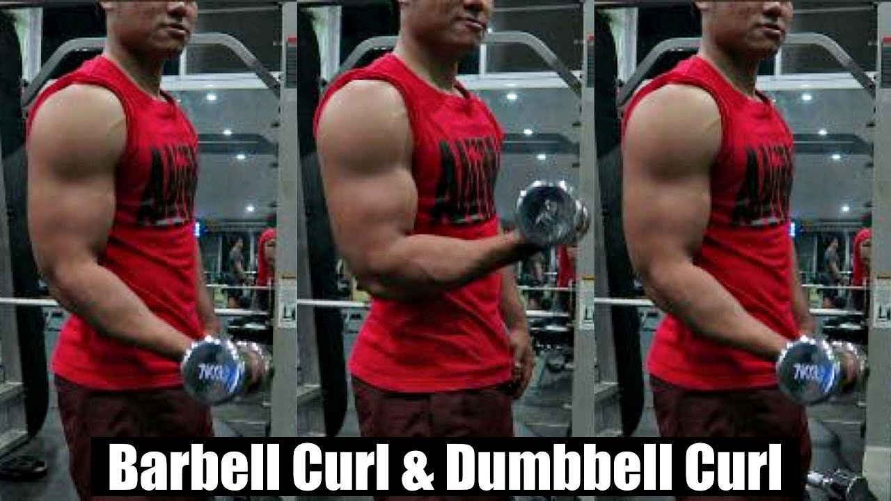 ท่าหลักสร้างกล้ามแขน  Barbell Curl & Dumbbell Curl
