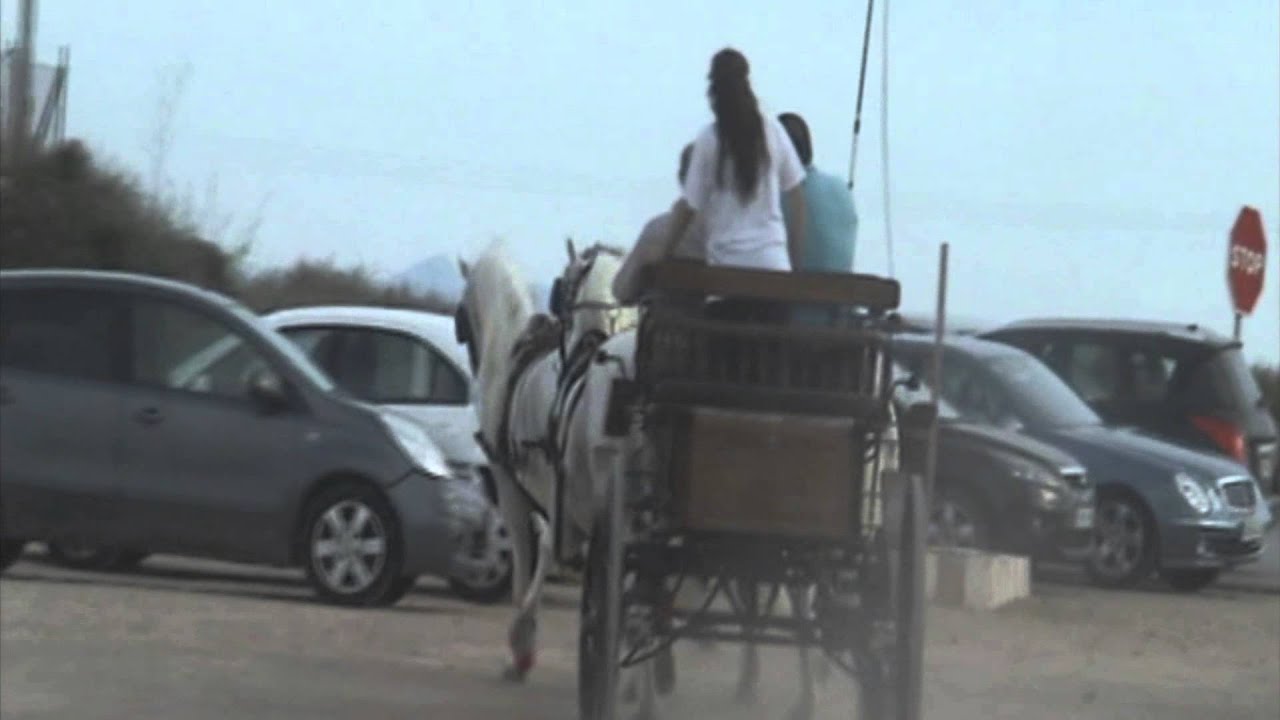 Enganche de caballos a la cuarta P.R.E, EQUISELEC luis lorente