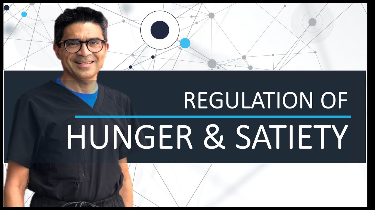 Regulation of Hunger & Satiety | Dr Nadir Ali