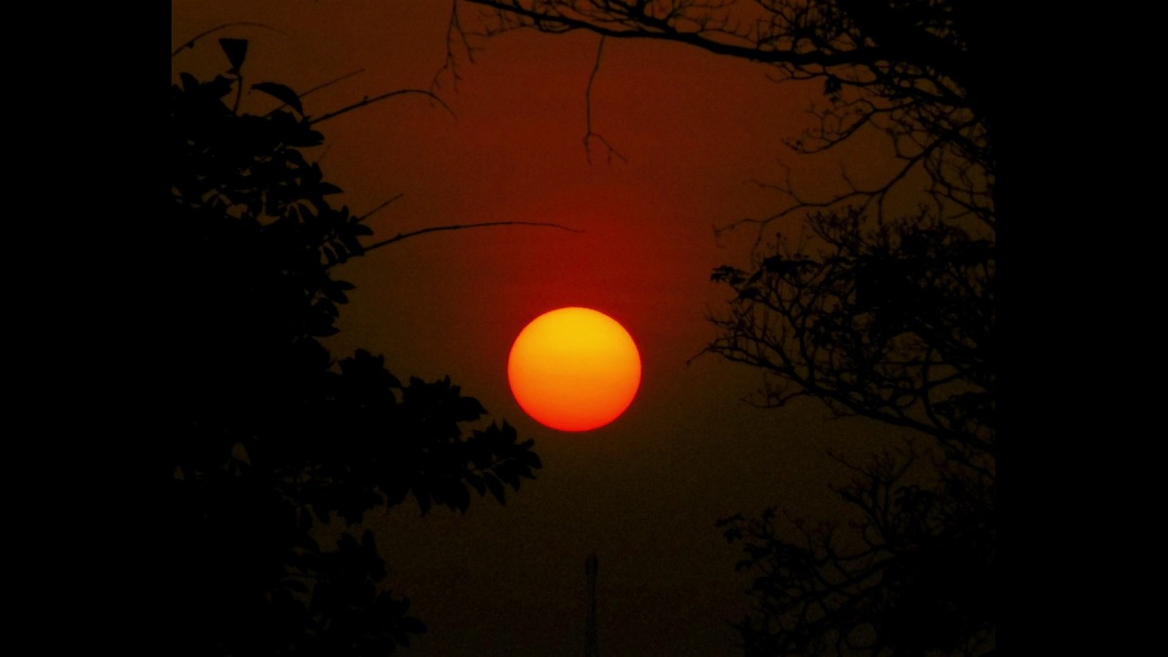 Chants Pygmées Baaka