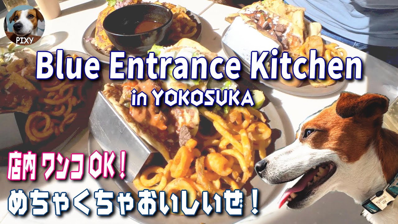 【沖縄発祥 タコス】Blue Entrance Kitchen横須賀店 店内🐶OK！タコスの概念が変わるよ(笑)#タコス#横須賀#NOTHING BUT SUGAR#シナモンロール