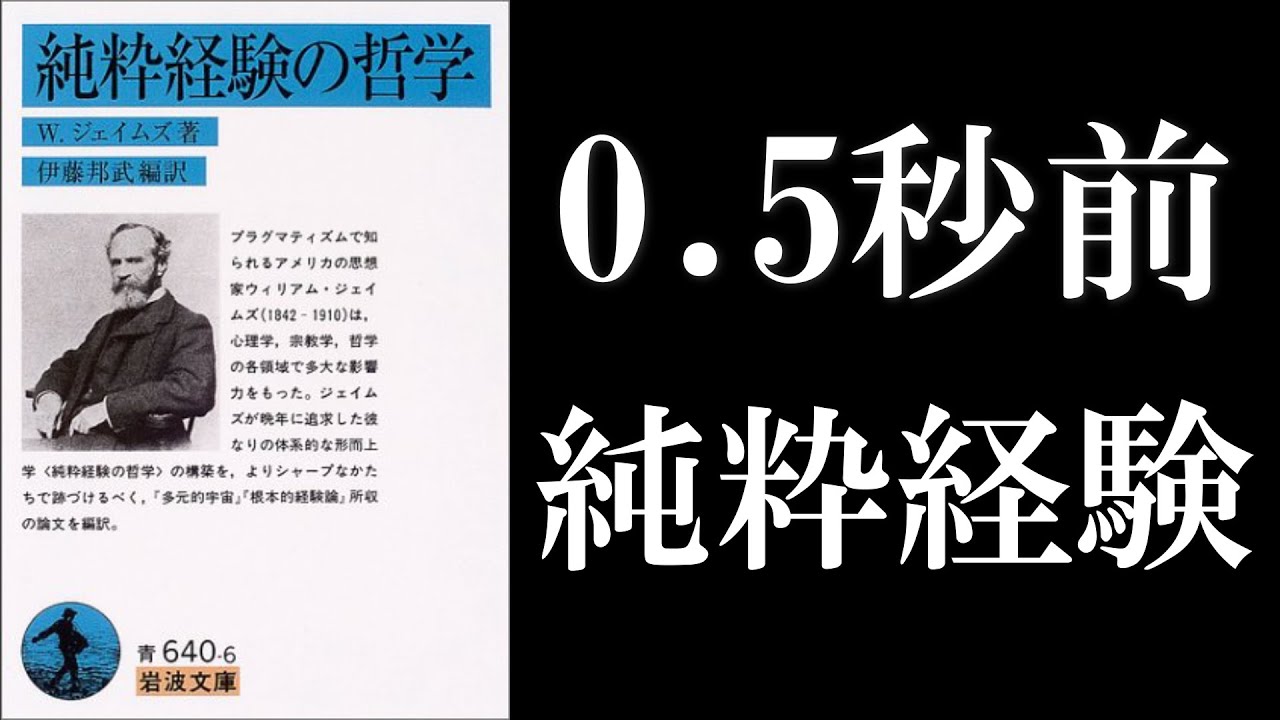 ウィリアム・ジェイムズ『純粋経験の哲学』読解：純粋経験とは何か【『多元的宇宙』×『根本的経験論』】