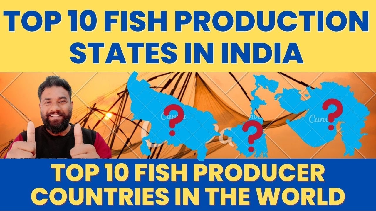 Highest Fish Production State In India | Highest Fish Production Countries In The World | Data
