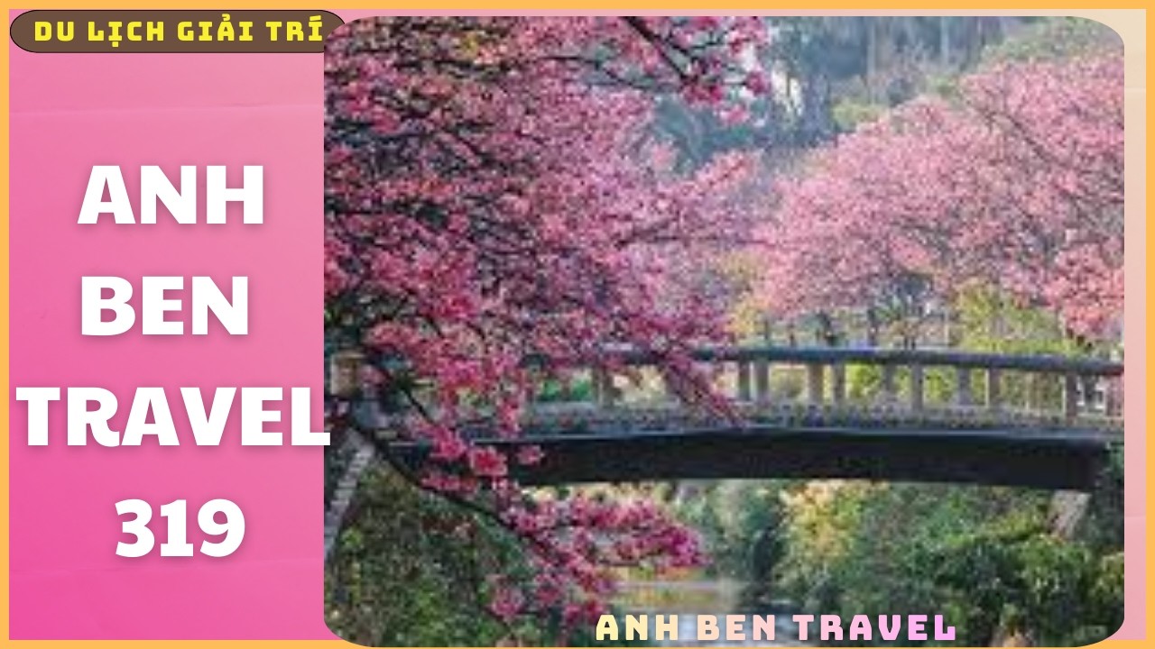 Anh Ben Travek Số 319 - Ngắm Hoa Anh Đào Nở Rộ Khắp Con Đường Ở Nhật Bản