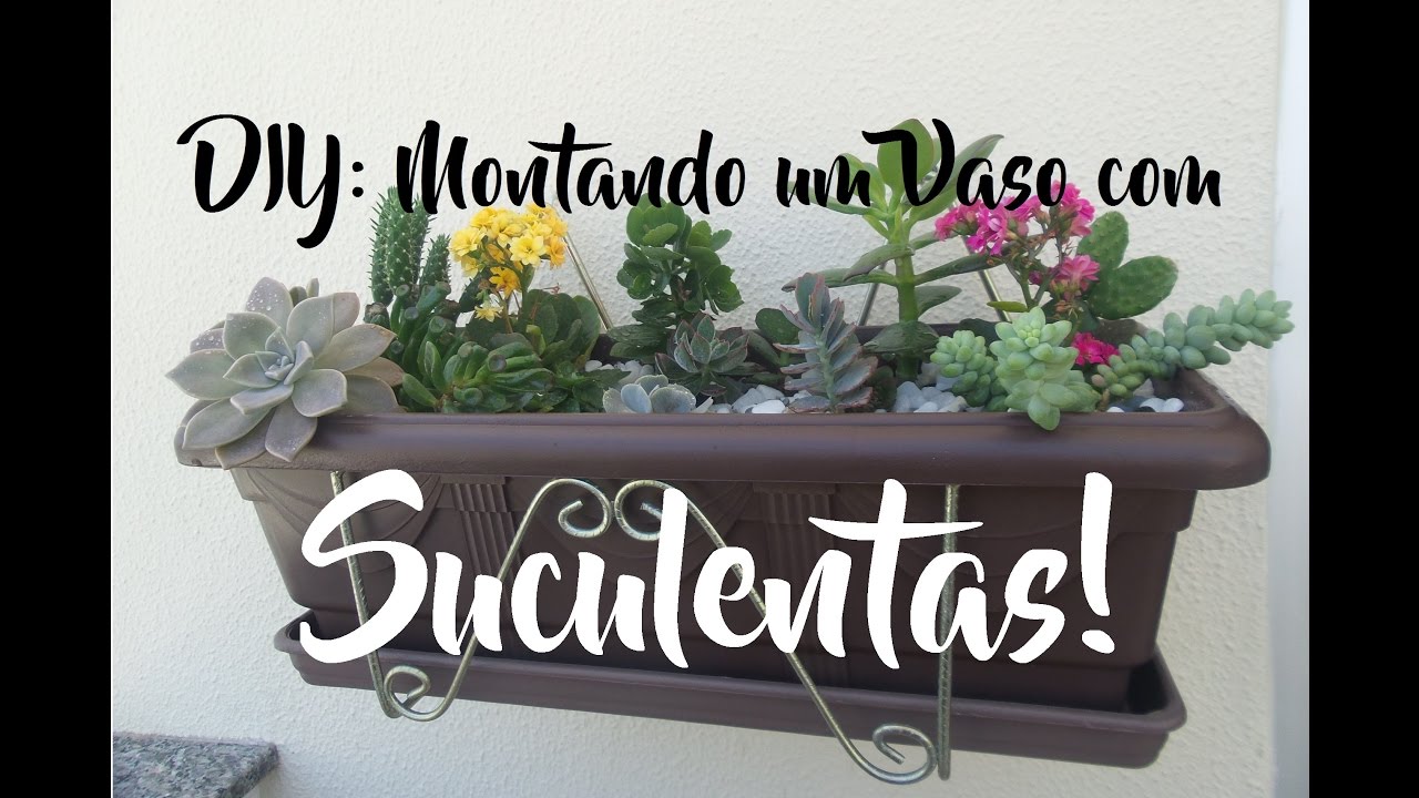DIY: Montando um Vaso com Suculentas