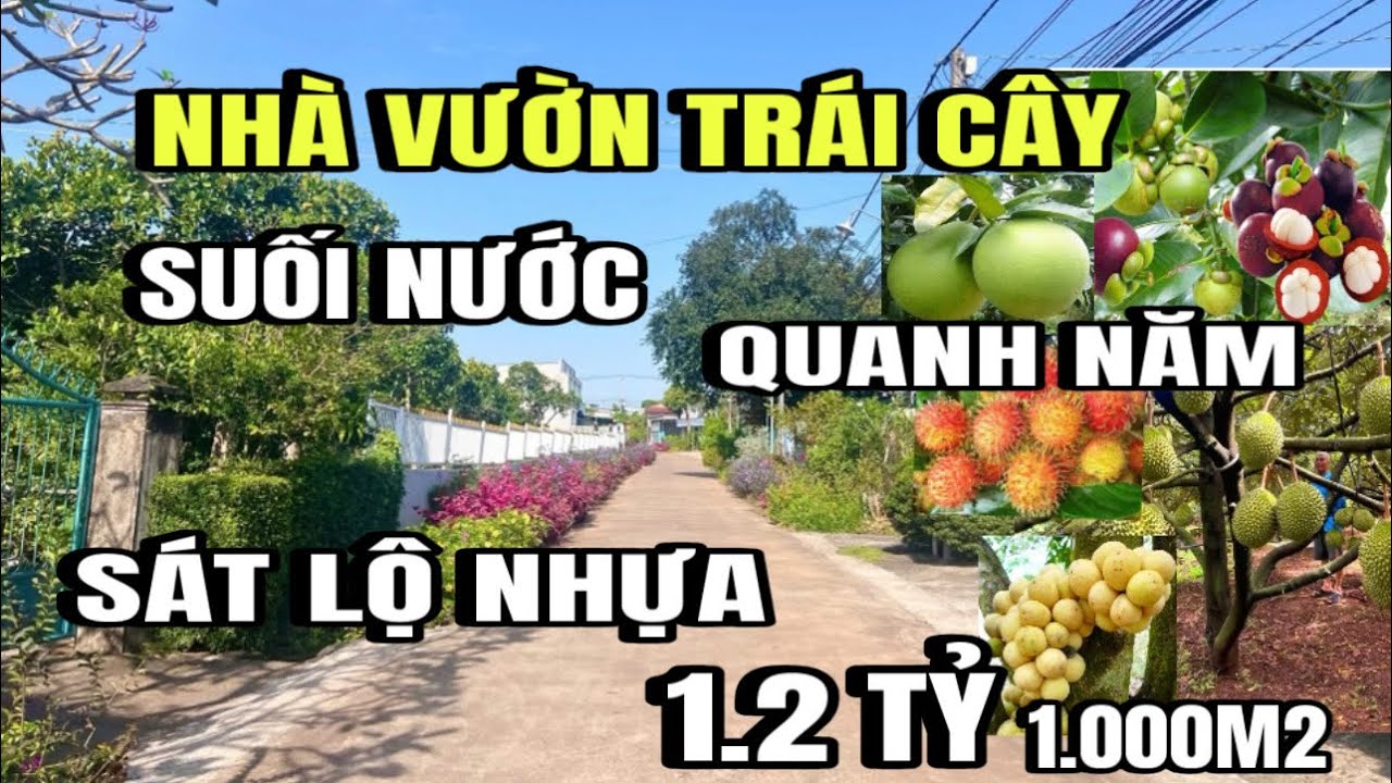 Cô quyên bán gấp nhà vườn, Đủ loại trái cây, suối nước quanh năm, sát lộ nhựa, Huyện cẩm mỹ cũ