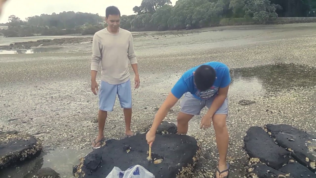 Crabbing, Fishing, Oyster in Tinopai