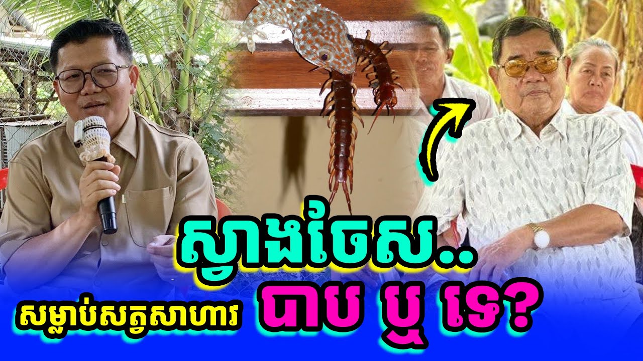 សម្លាប់សត្វសាហាវ បាប ឬ ទេ? | លោកគ្រូ សាន សុជា | រៀនដល់ចាស់ - Rien Dol Chas |