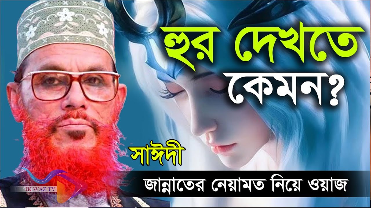 💓হুর দেখতে কেমন হবে💓জান্নাতে কি করবে তারা💓দেলোয়ার হোসাইন সাঈদীর পুরাতন ওয়াজ=সেই 45 বছর আগের