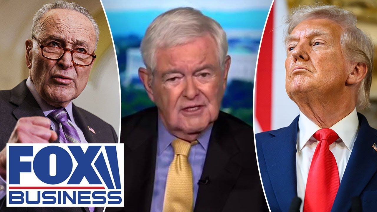 Newt Gingrich: Schumer has given Trump this potential golden opportunity