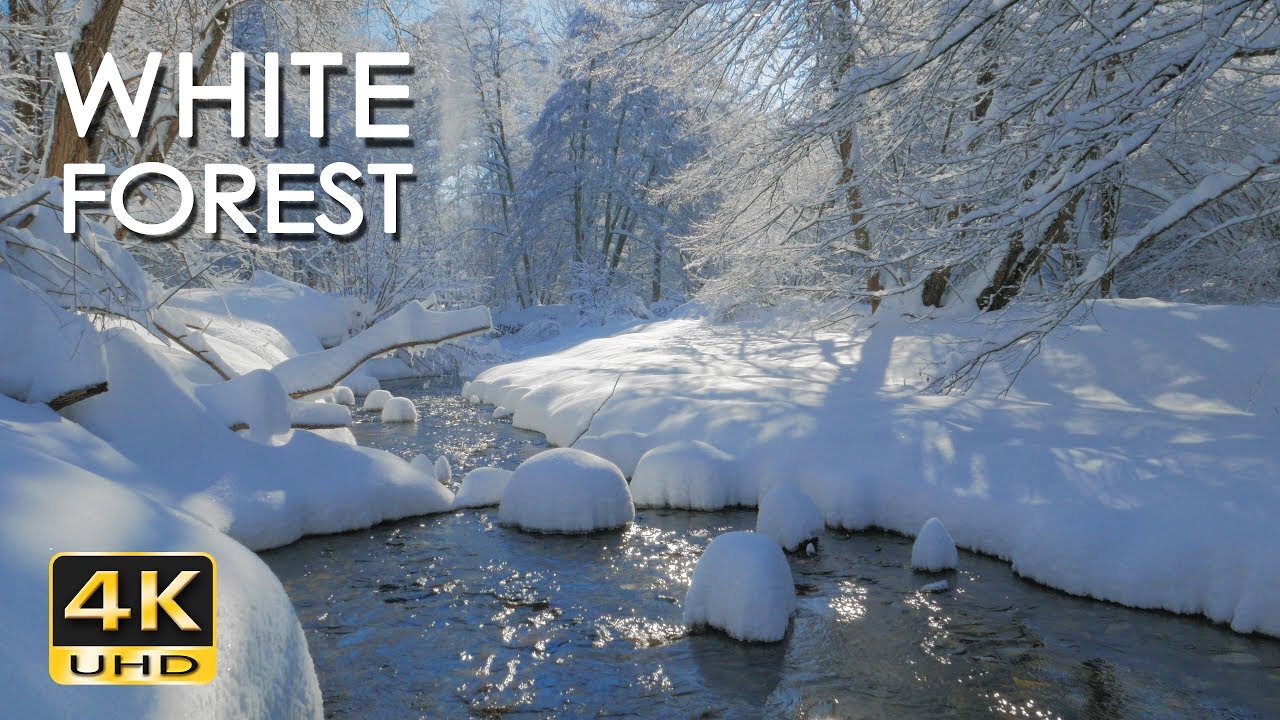 4K White Forest - Calming River Sounds - Snowy Woods - Relaxing Winter Nature Video - Ultra HD