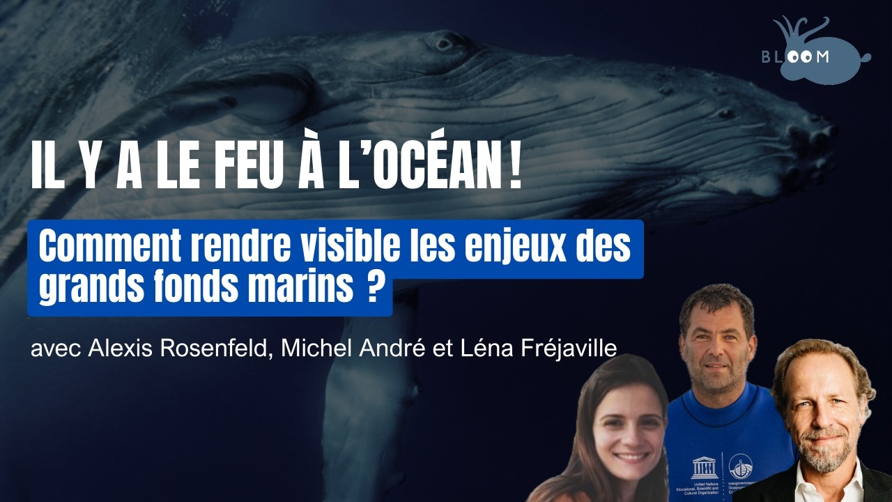 Il y a le feu à l’océan !  Comment rendre visible les enjeux des grands fonds marins ? Conférence