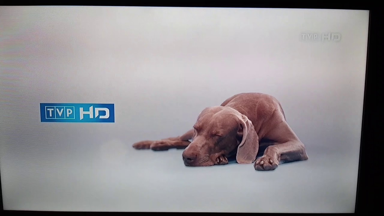 TVP HD - Zakończenie programu (23/24.08.2019r.)