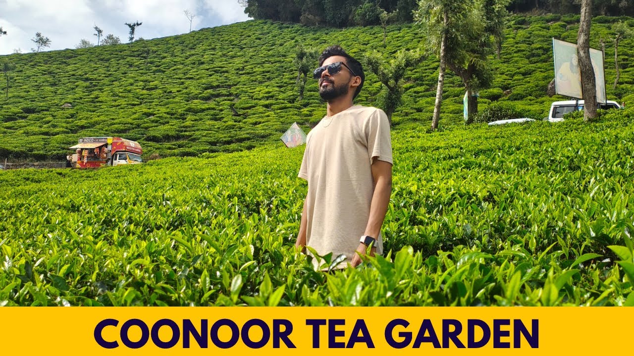 Coonoor Ka Tea Garden || Coonoor Tour Guide 