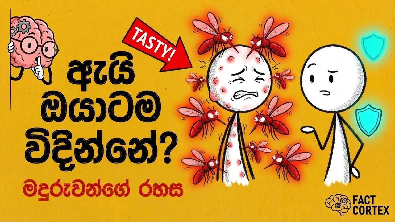 ඇයි මදුරුවෝ ඔයාට විතරක් වැඩියෙන් විදින්නේ? | Why Do Mosquitoes Bite You More? 🦟