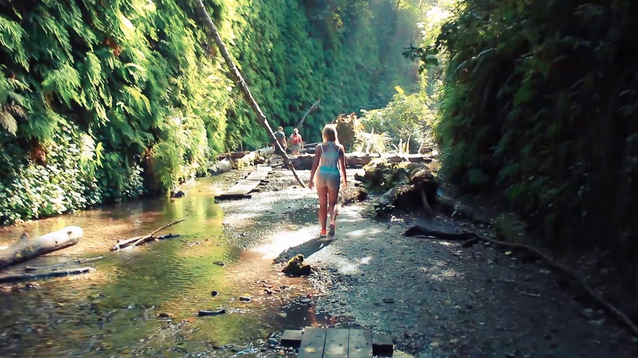 Redwood National Park: Fern Canyon