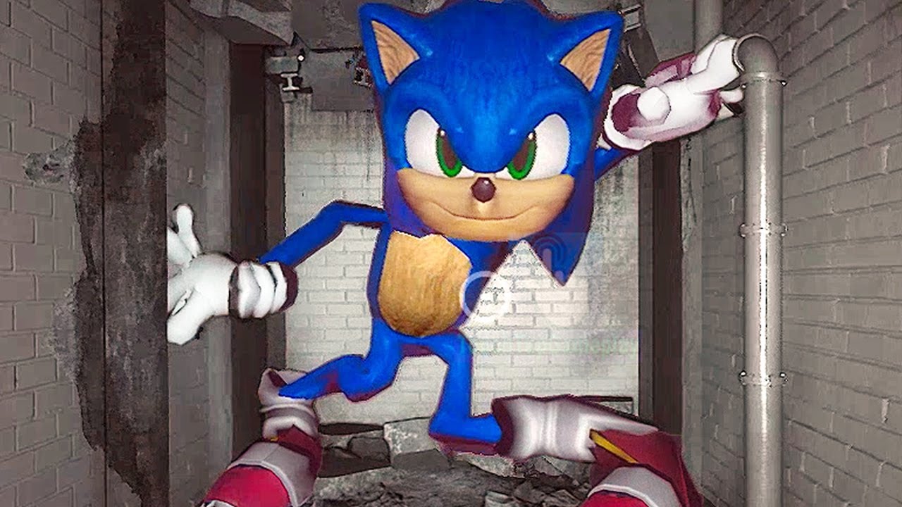 What If Sonic the Hedgehog Want To Play Hide and Seek - Poppy Playtime Chapter 2