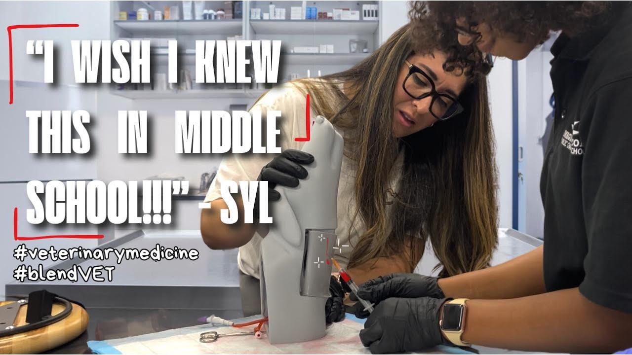 You Belong in Veterinary Medicine  #blendVET
