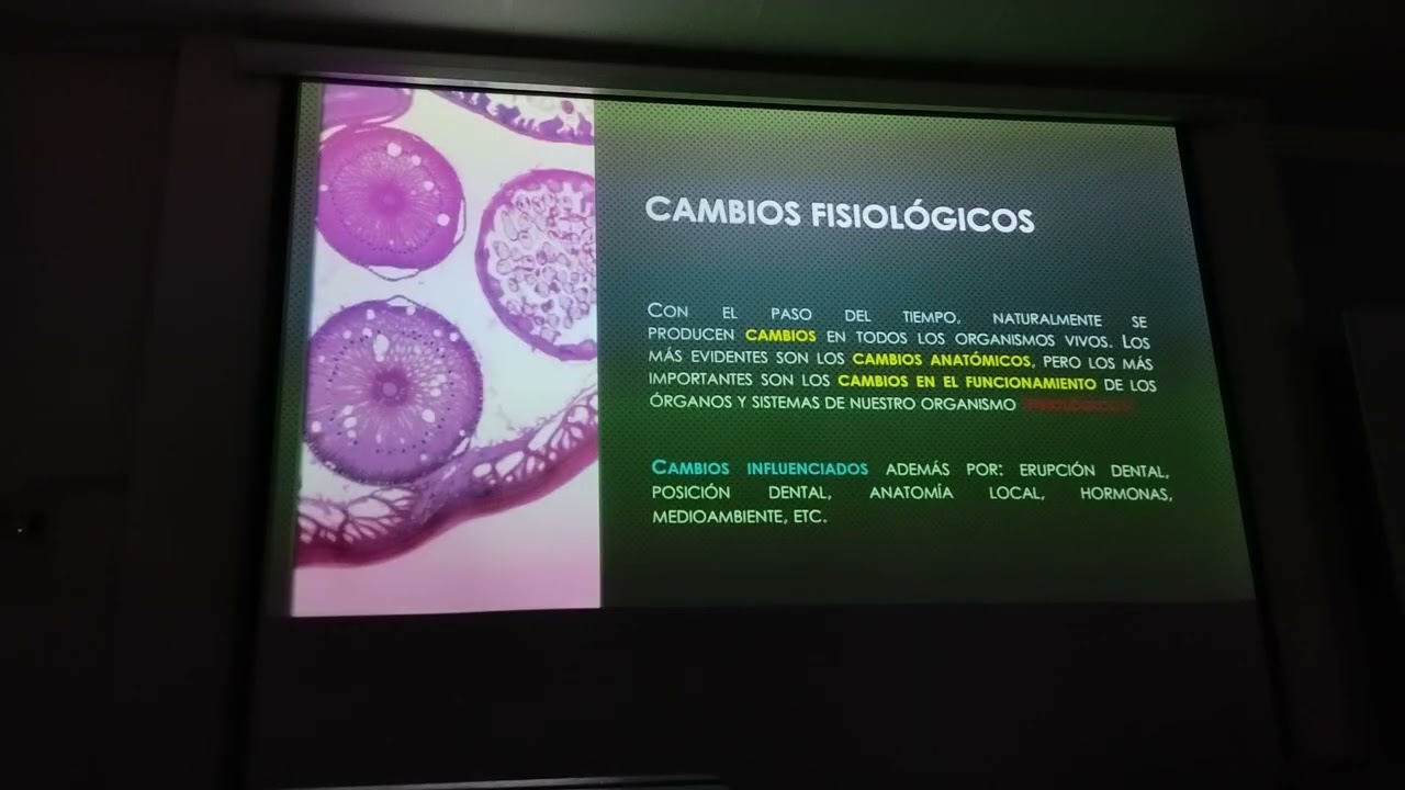 Clase teórica perio 1 - 5 de marzo 2026