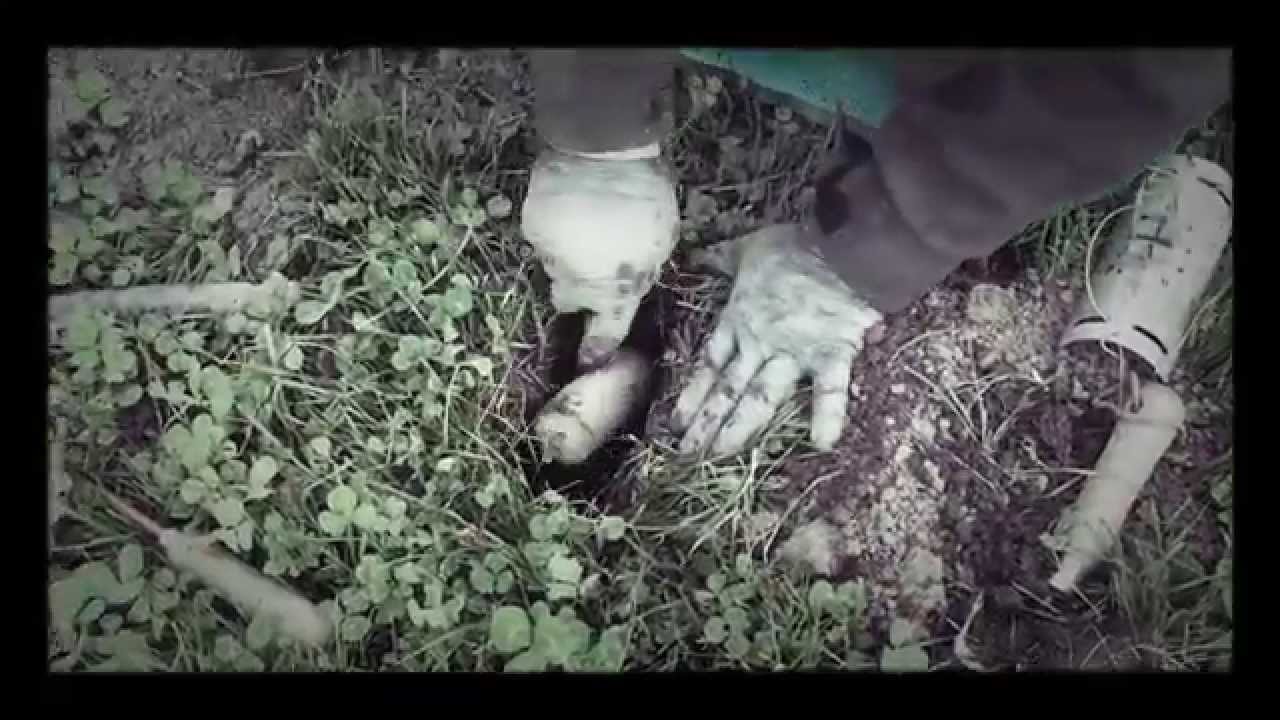 Setting a tunnel mole trap