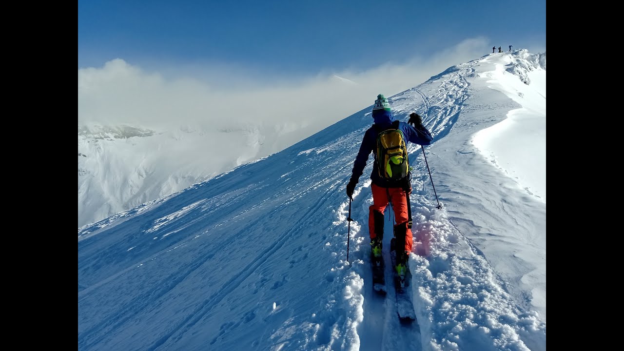 WACEK FREERIDE #5 JAPOW
