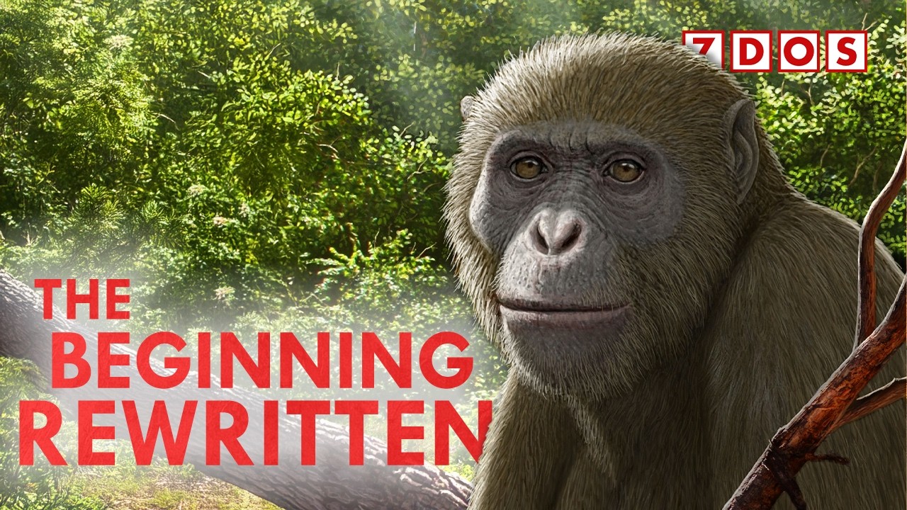New Species of Ape Redefines Human Origins