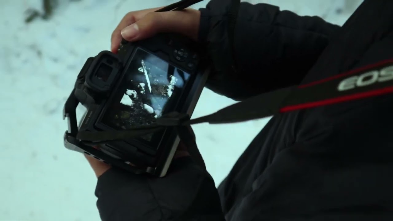 Shutters- A Short Film By Aryana Birdi || February 2025 ||