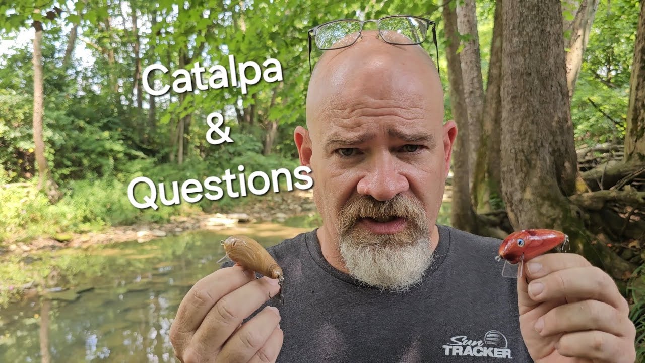 Catalpa lure build, some questions, and possibly some senseless rambling.