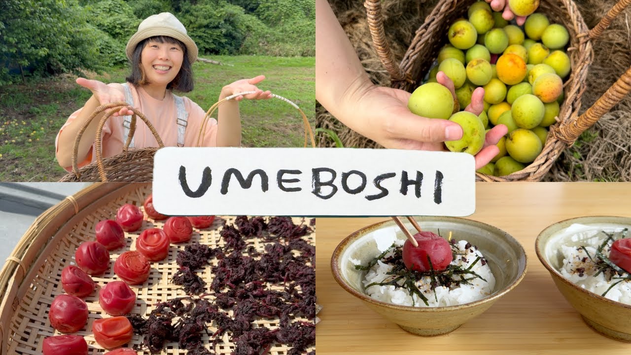 Life in Japan | homemade umeboshi
