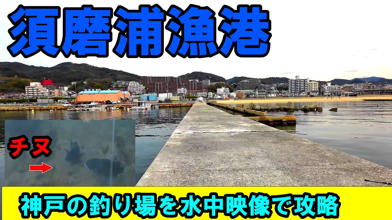 【最新】2025年4月の須磨浦漁港の釣りポイントを水中映像で紹介！黒鯛を狙う