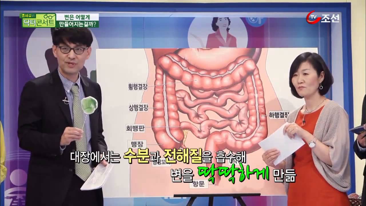 국내최고 장(腸)전문가가 알려주는 대장 건강 키워드