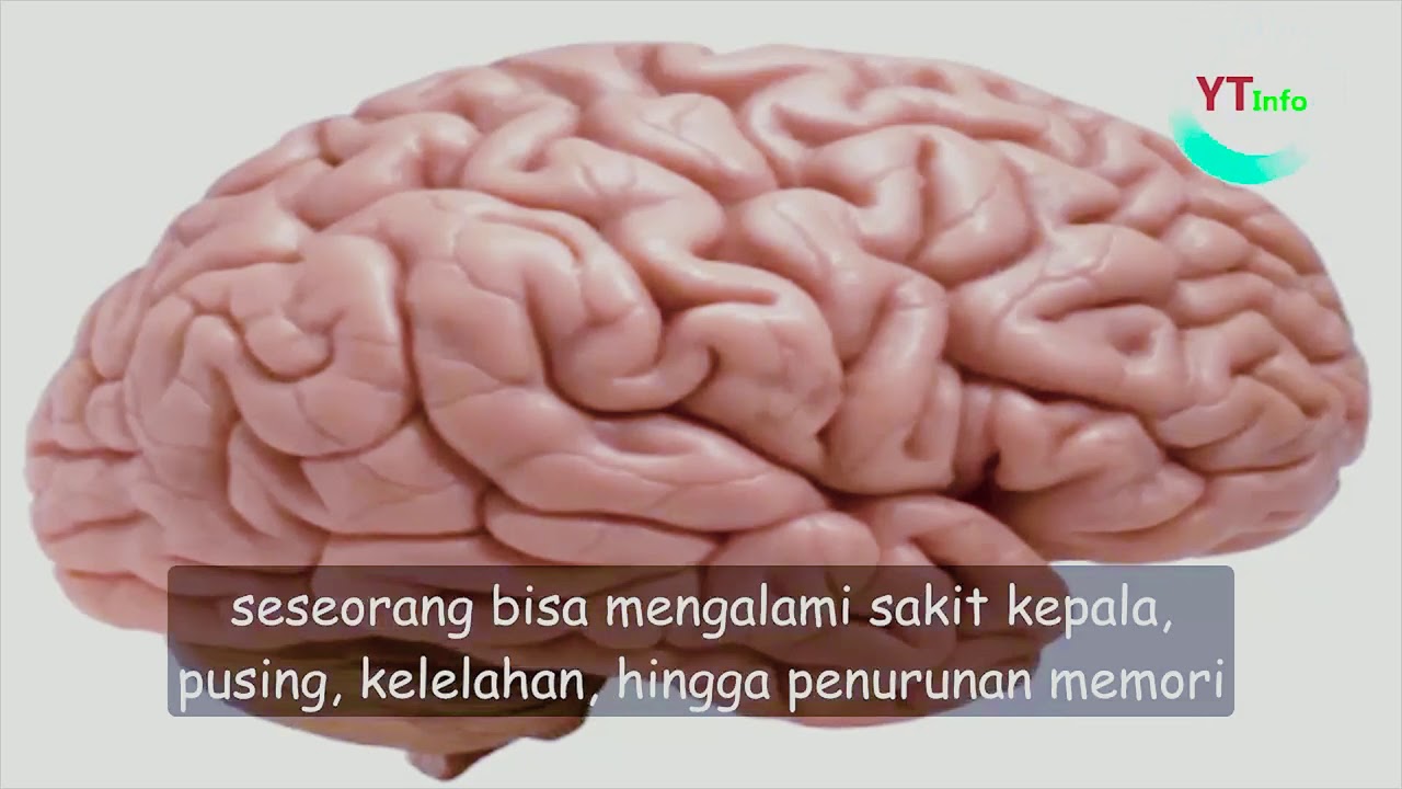 Model Pembelajaran  Discovery Learning  Biologi