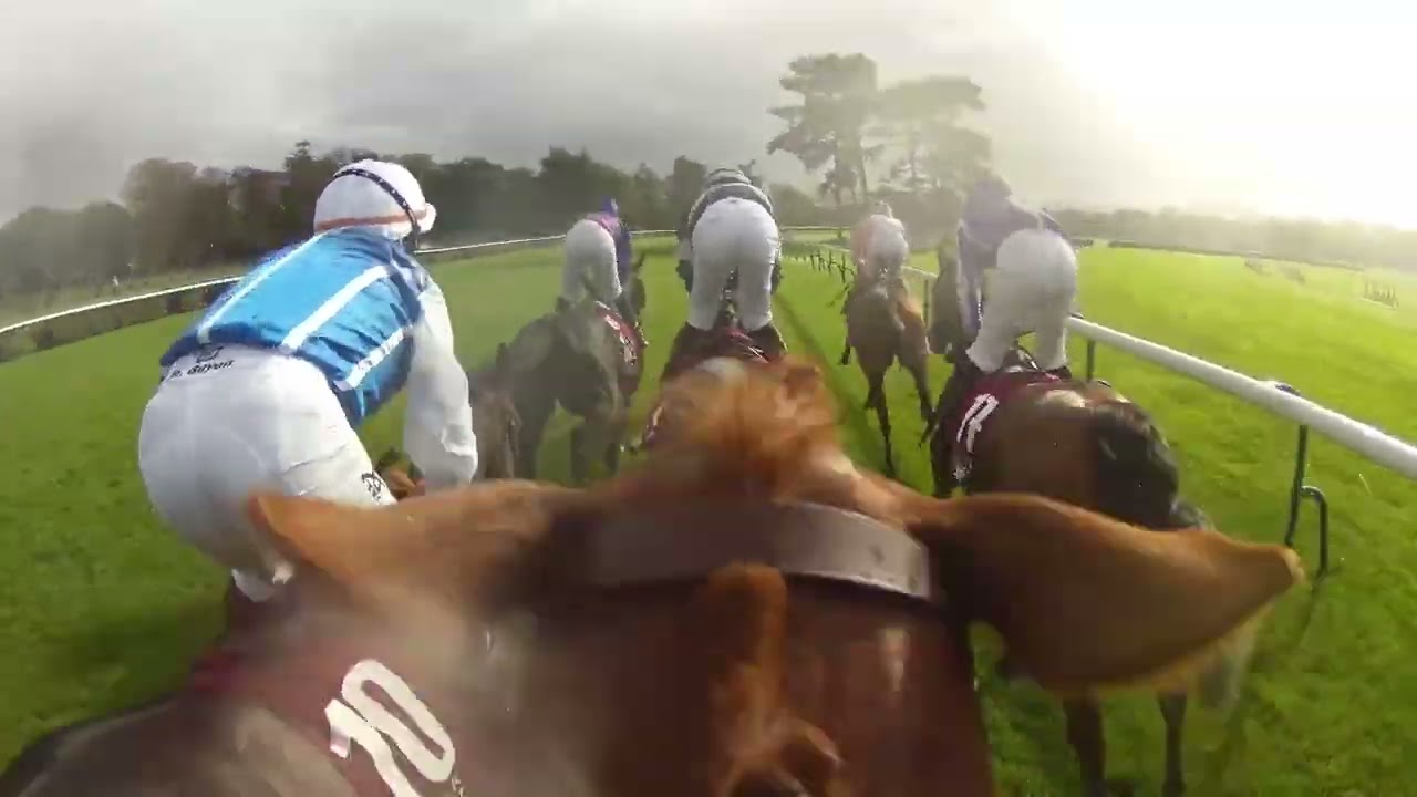 Embarquez dans le Qatar Prix de l'Arc de Triomphe 2025 avec Christophe Lemaire et Alohi Alii