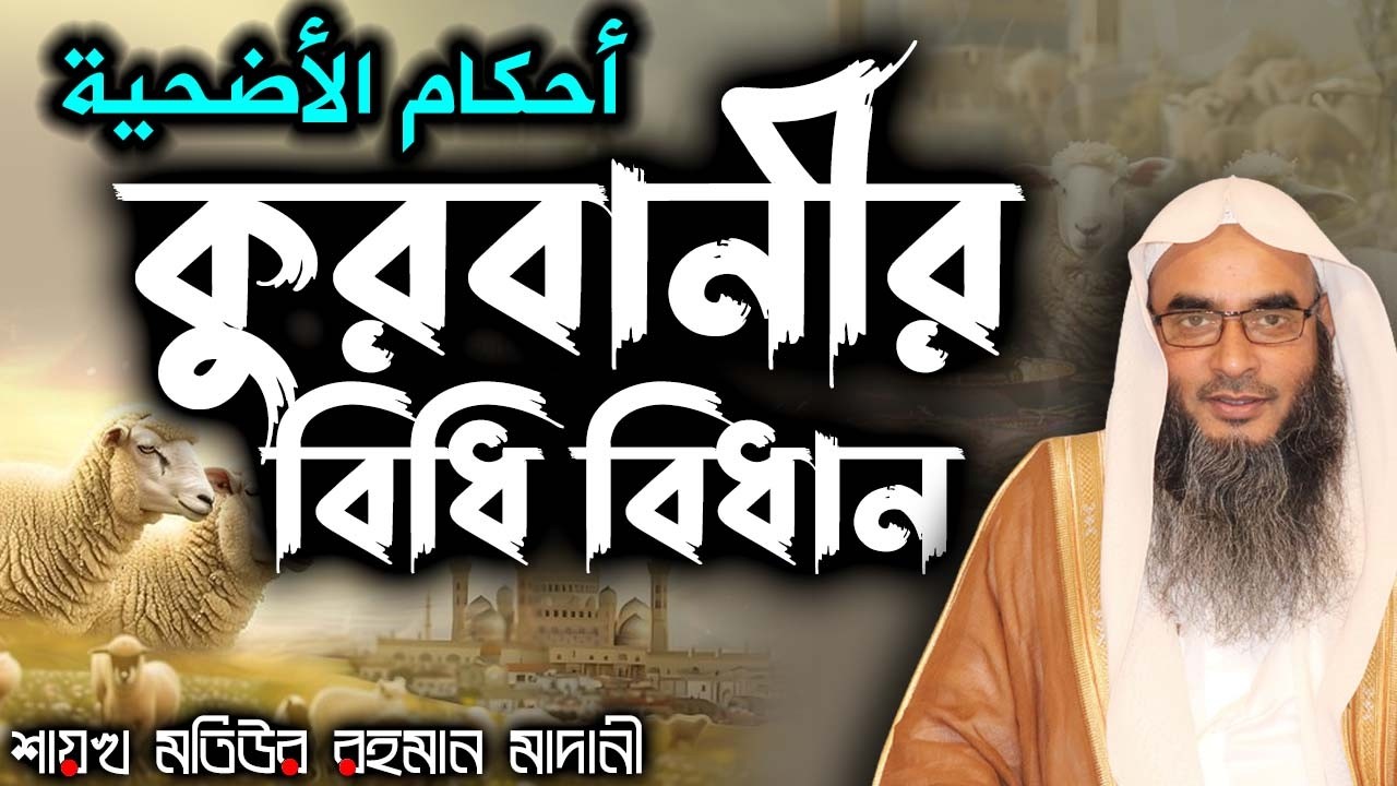 কুরবানীর বিধি বিধান┇শাইখ মতিউর রহমান মাদানী