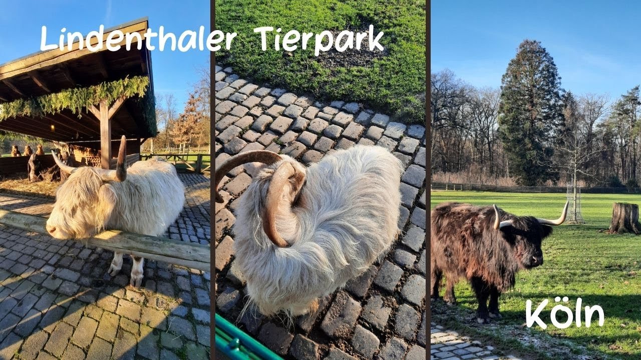 Lindenthaler Tierpark Köln