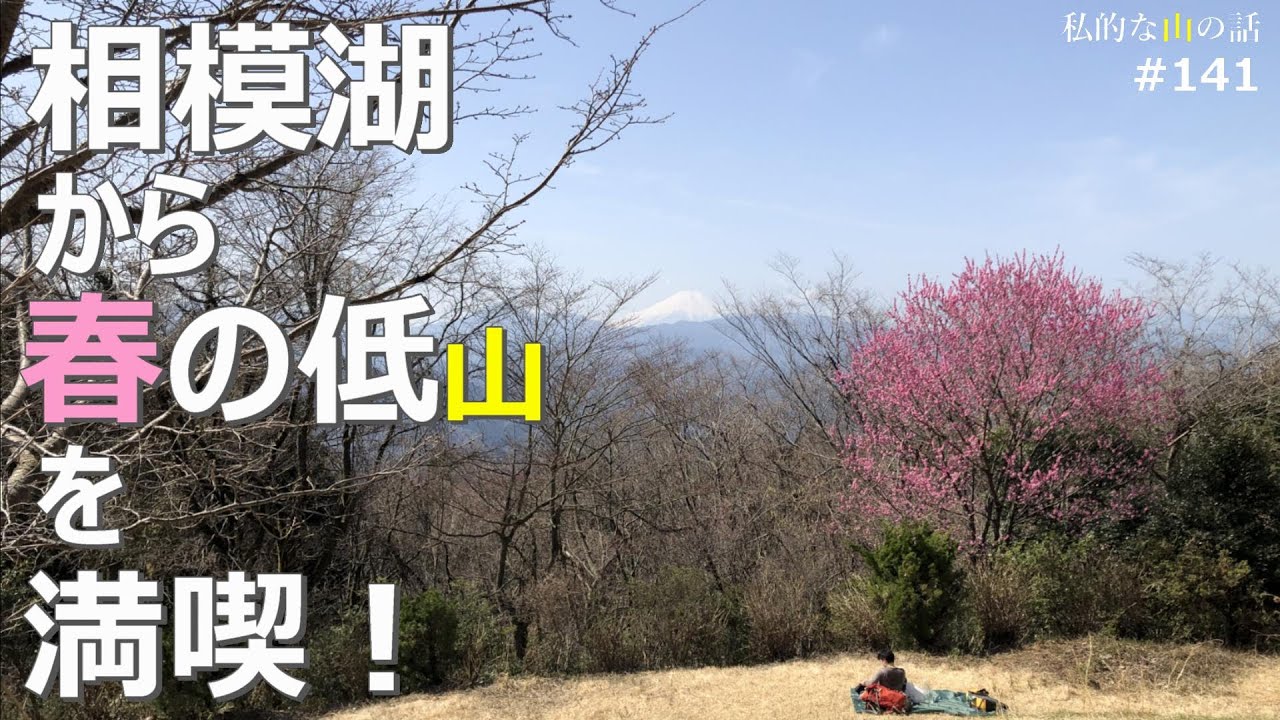 【高尾山】相模湖から小仏城山＆高尾山 春のゆる登山にお薦めのコースです。 ＃登山 ＃トレッキング ＃ハイキング ＃奥高尾