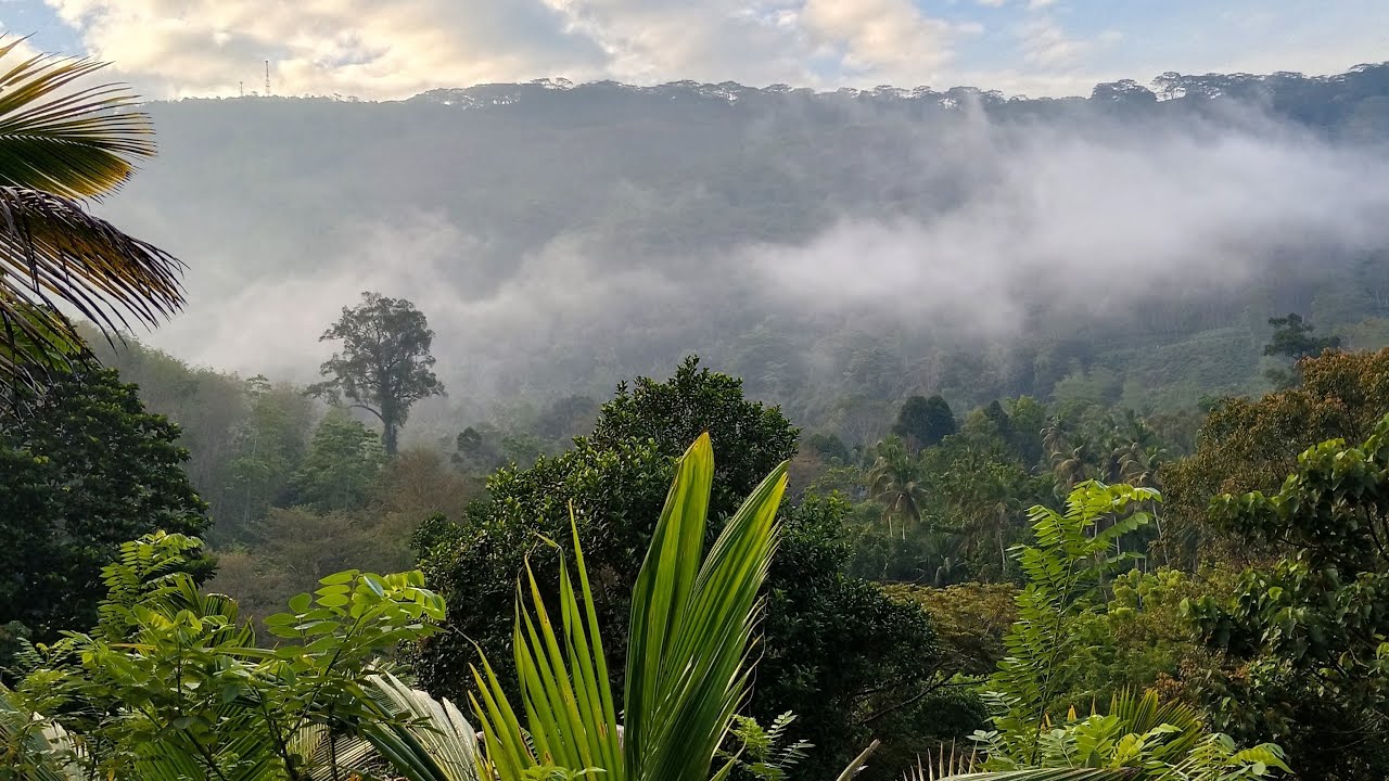 හවස@ඉන්න@Live@කස්ටිය කො   බලන්න අපිට අද මීදුම