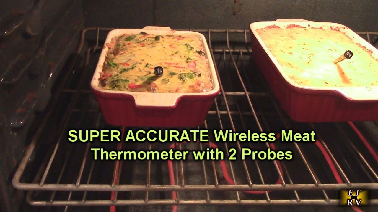 TEST of ThermoMaven Wireless Meat Thermometer, 2 Probes, 500' Bluetooth Range, Precise ±0.5°F REVIEW