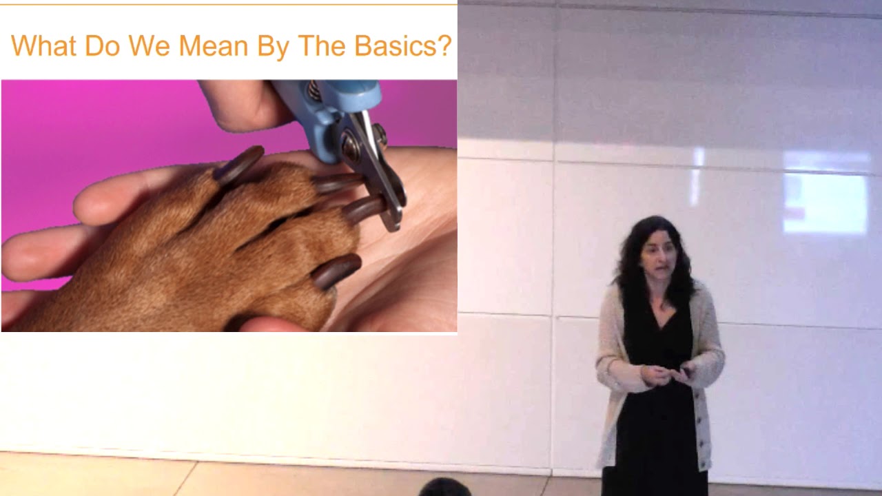 The Basics on Basic Veterinary Care - conference recording