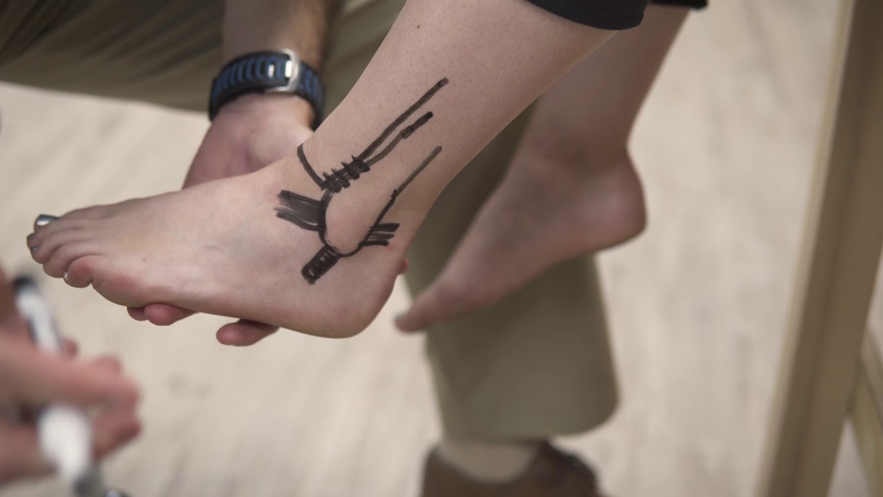 Foot and Ankle Anatomy